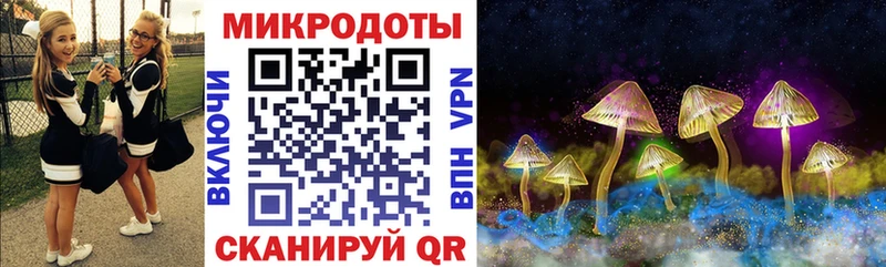 Галлюциногенные грибы мухоморы  Купить закладки  Цивильск 